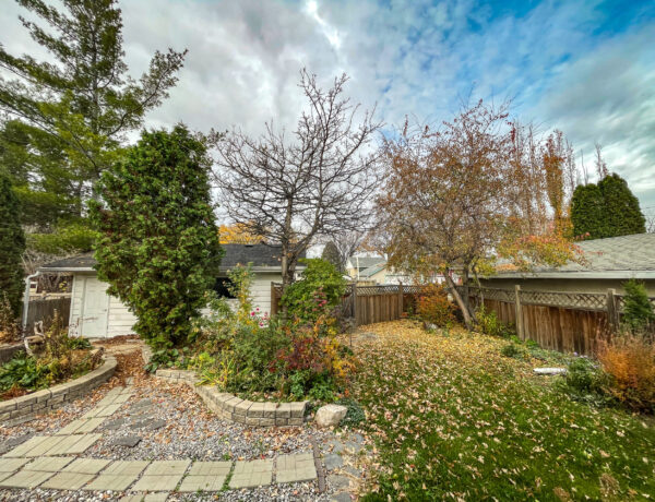 An autumn scene of a backyard. There is a garage and a fence in the background, a cedar, oak, and maple tree in the mid-ground, and a flower garden and grass in the foreground. The sky is blue with clouds.