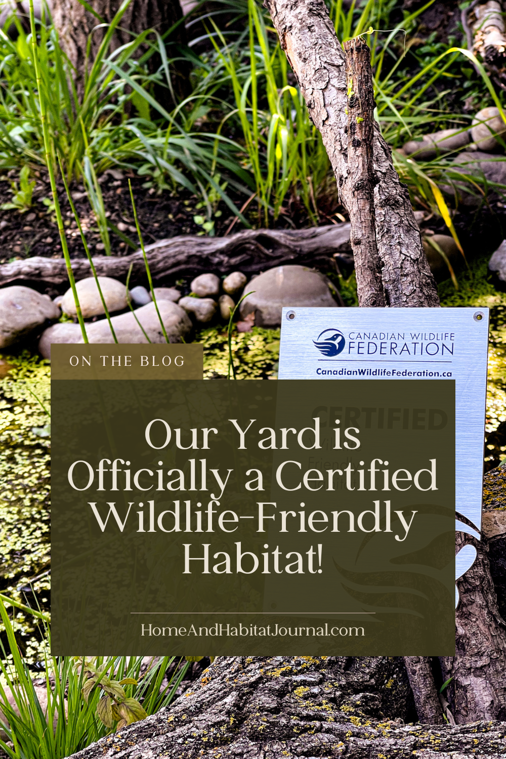 Text on image reads: ‘On the blog – Our yard is officially a certified wildlife-friendly habitat – HomeAndHabitatJournal.com.’ Photo shows a backyard wildlife pond with a silver Canadian Wildlife Federation plaque leaning against a fallen log. The plaque with a goose logo reads ‘Certified Wildlife Friendly Habitat.’ Native plants and natural landscaping surround the pond.
