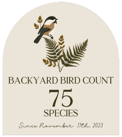 "Home & Habitat logo featuring a Black-capped Chickadee perched on a fern, representing Edmonton, Alberta backyard wildlife. Highlights 'Backyard Bird Count – 75 species – since November 17th, 2023.' Promotes native birdwatching, backyard habitat creation, and local wildlife observation in Edmonton."