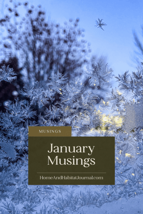 early morning frost on a window, blurry mountain ash tree in background. text box over photo says "January Musings HomeAndHabitatJournal.com"