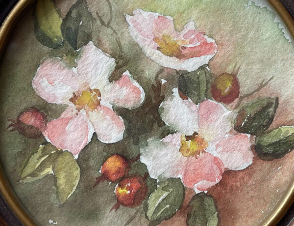 Watercolour roses by Canadian Artist, Irene Wahl