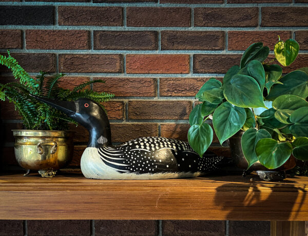 Wood loon decoy sits on a wood mantle with a brick wall. Fern in a brass pot to the left, and a heart leaf philodendron to the right