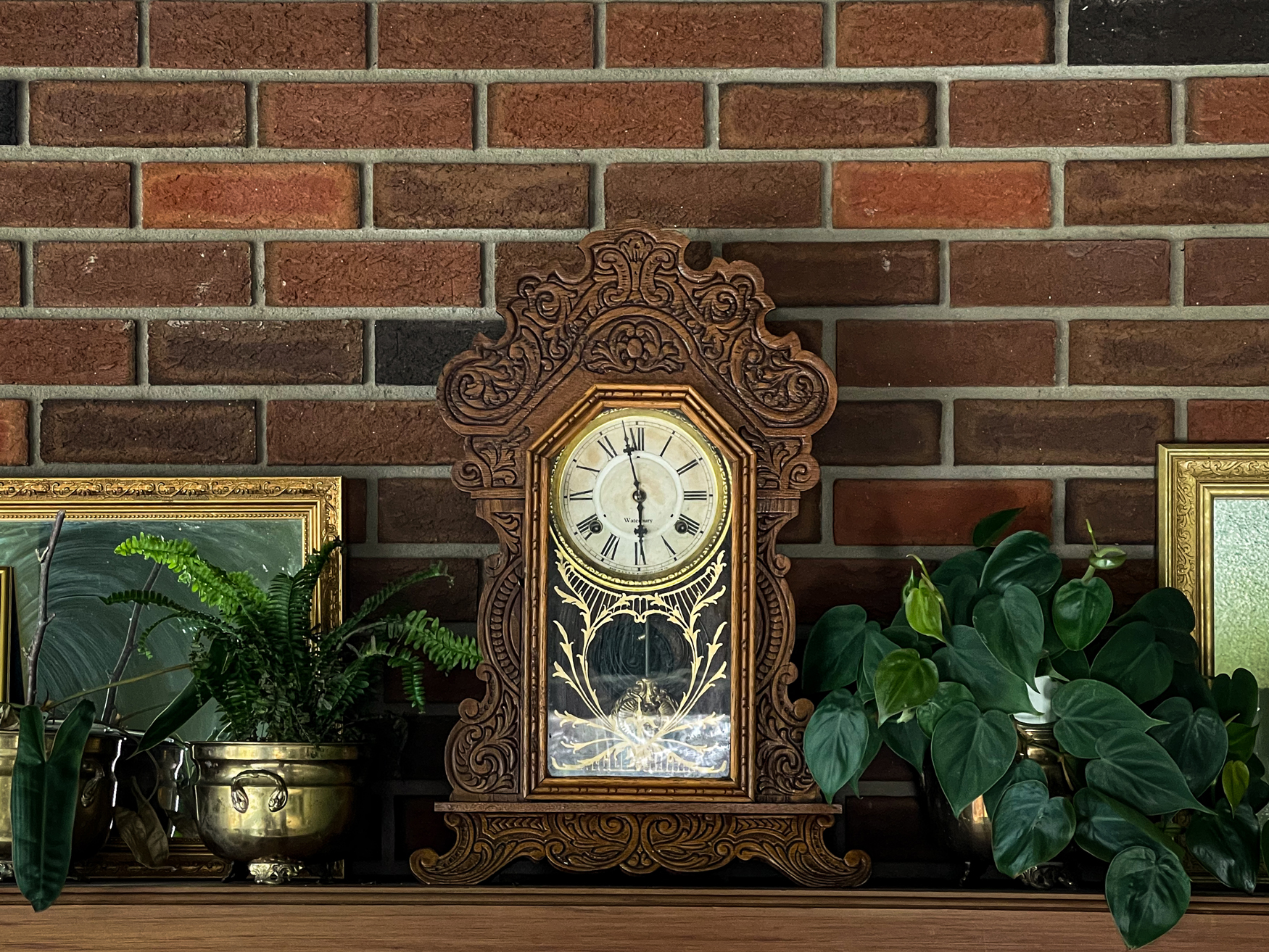 Antique Waterbury mantle clock sits on a wood mantle with a brick wall. Fern in a brass pot to the left, and a heart leaf philodendron to the right. Gold framed mirror in the background