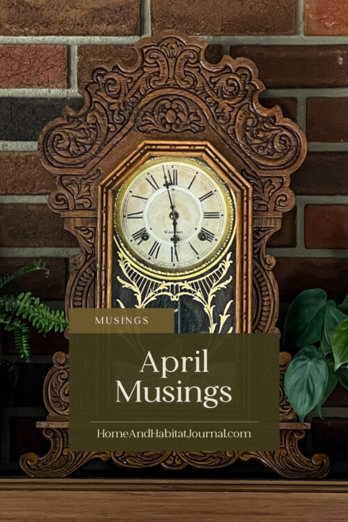 Antique Waterbury mantle clock sits on a wood mantle with a brick wall. Fern in a brass pot to the left, and a heart leaf philodendron to the right. 

Text reads, April musings on box in front of image
